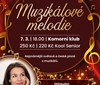 Největší hity světových a českých muzikálů na jednom místě