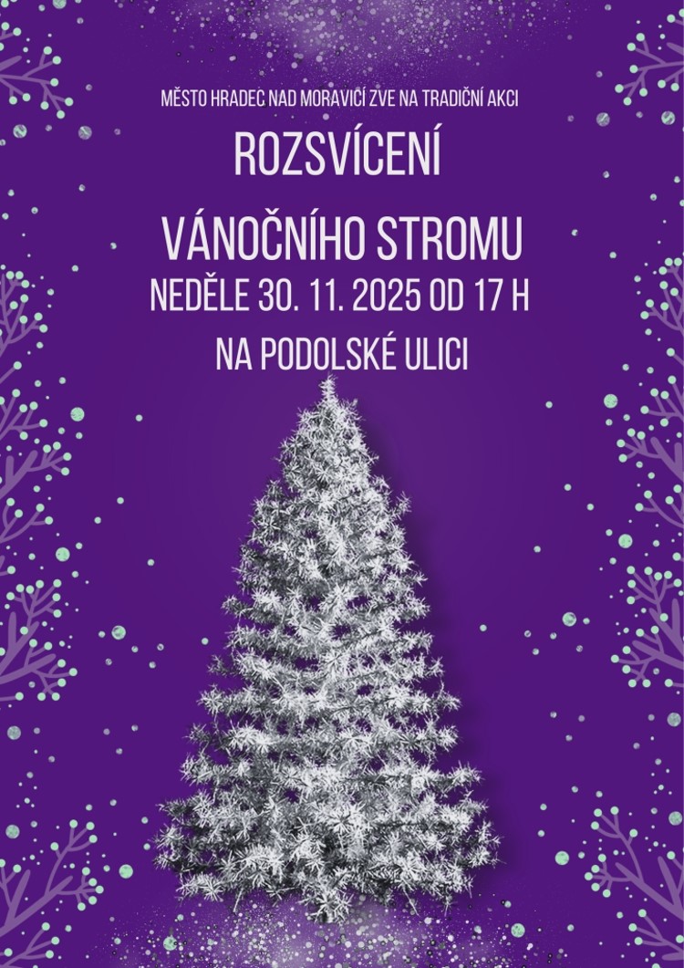 Rozsvícení vánočního stromu