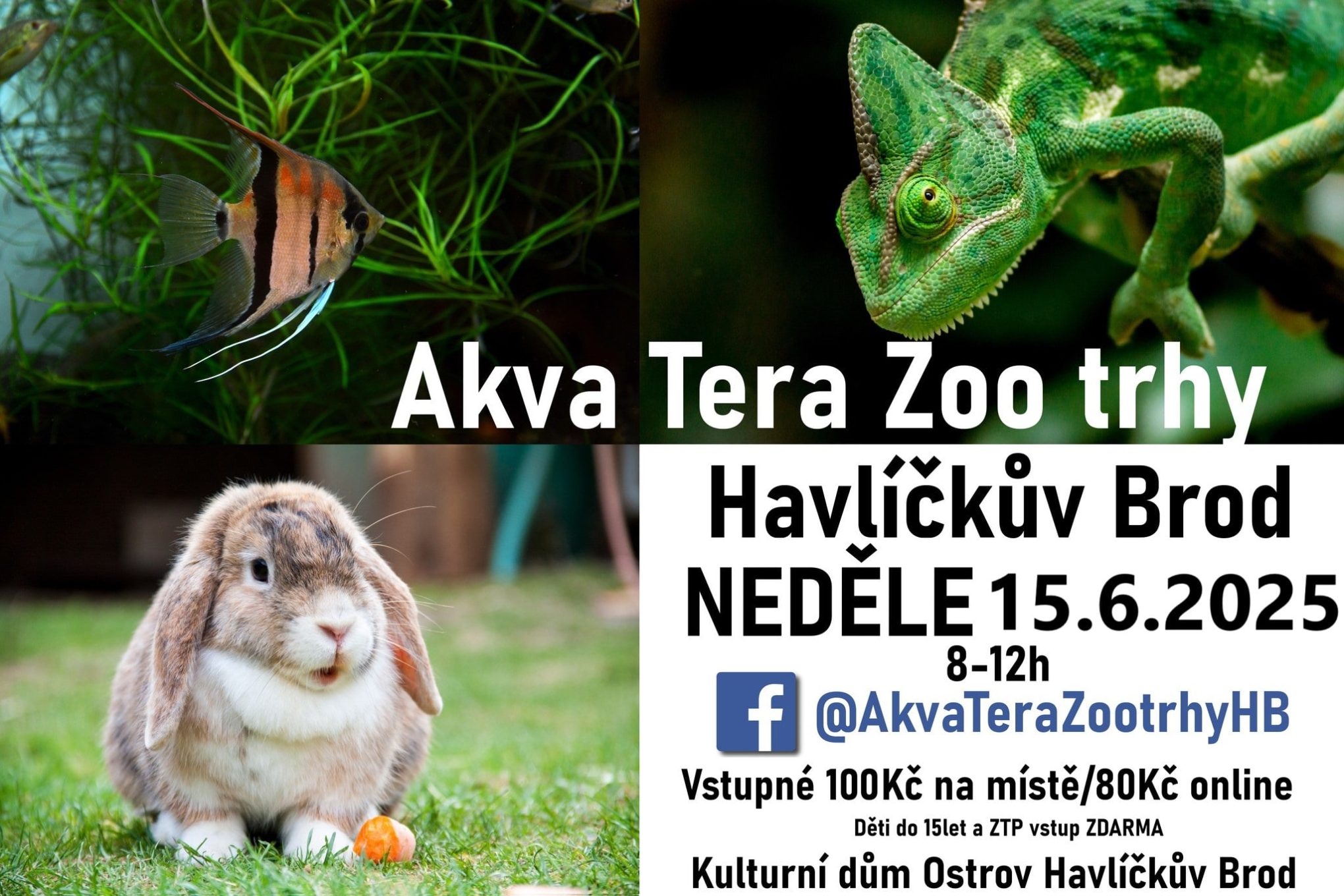 Akva Tera Zoo trhy