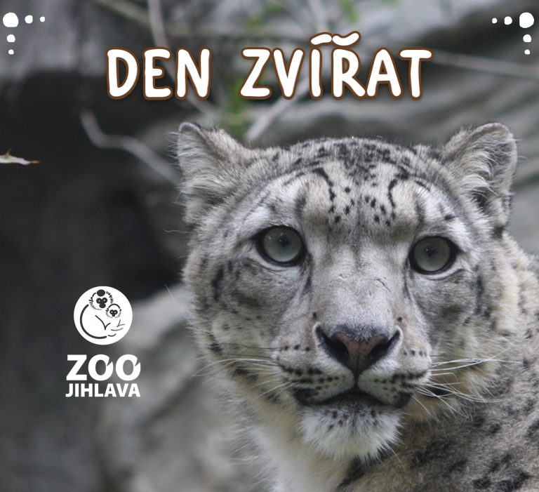 Den zvířat
