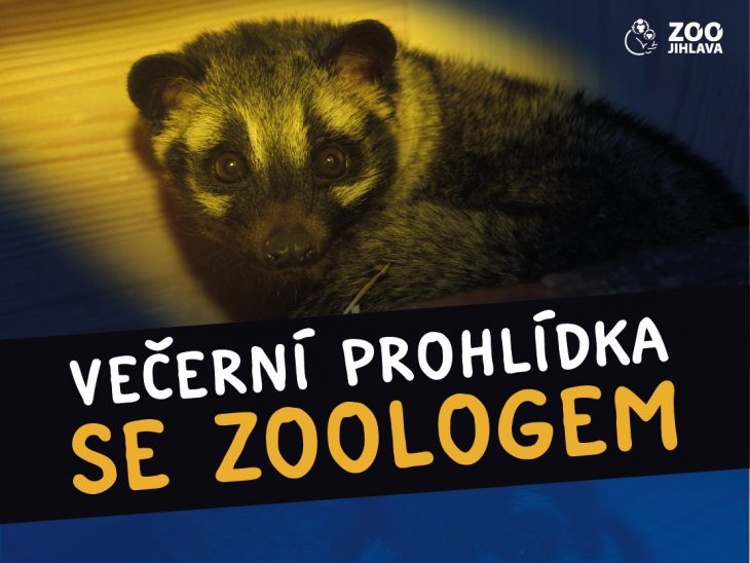 Večerní prohlídka se zoologem