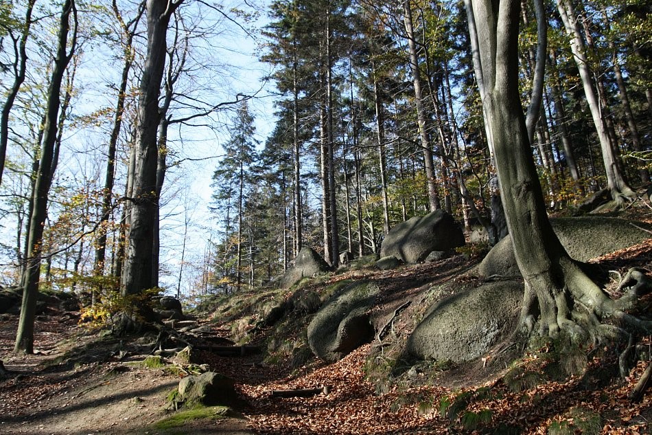 Oldřichovský Špičák