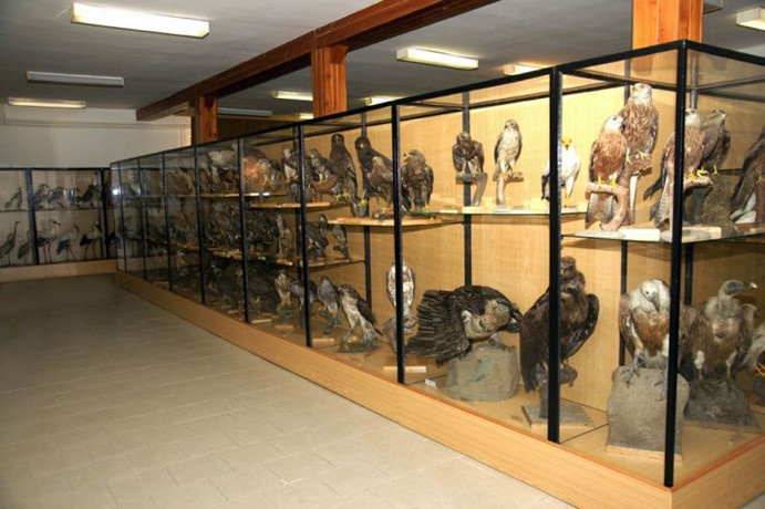 Ornitologická stanice Muzea Komenského v Přerově