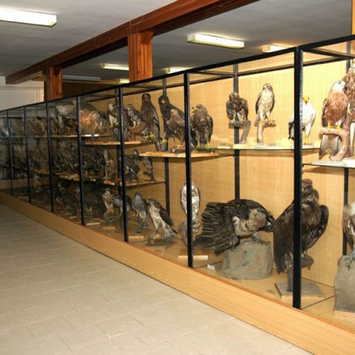 Ornitologická stanice Muzea Komenského v Přerově