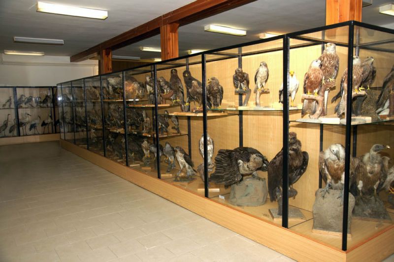 Ornitologická stanice Muzea Komenského v Přerově