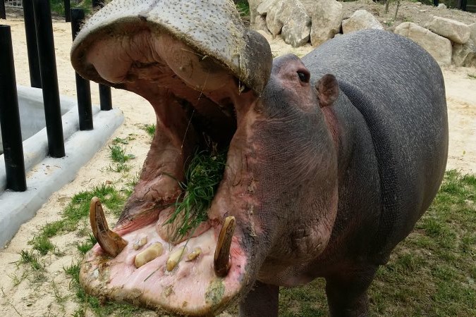 Zoo Dvorec