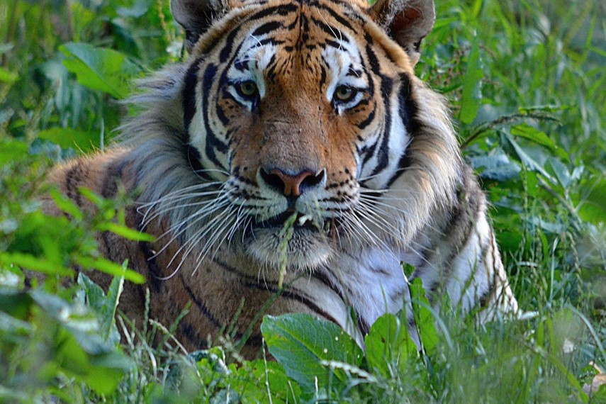 Zoo Tábor