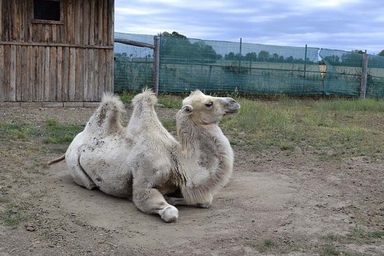 Zoopark Stěžery.