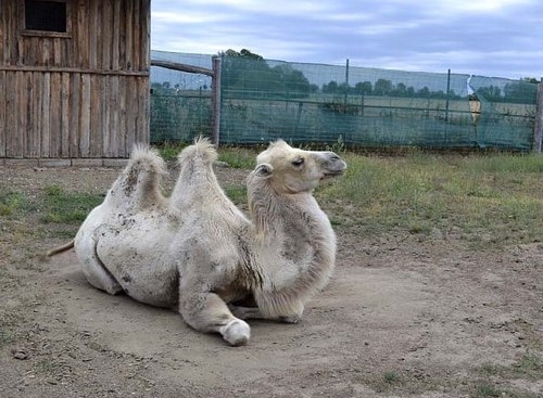 Zoopark Stěžery