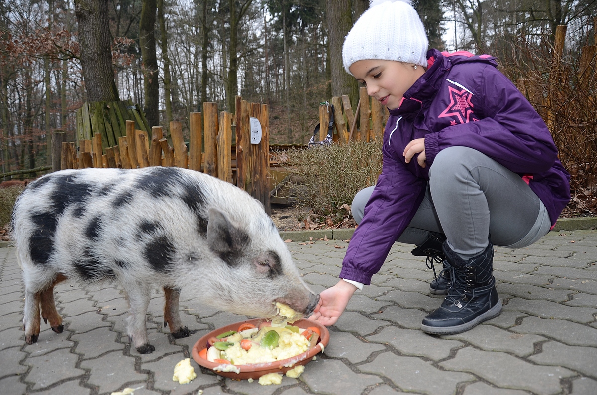 Zoo Děčín
