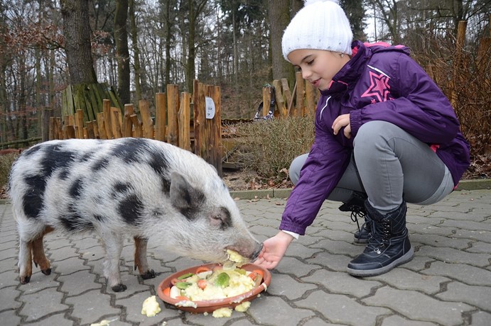 Zoo Děčín