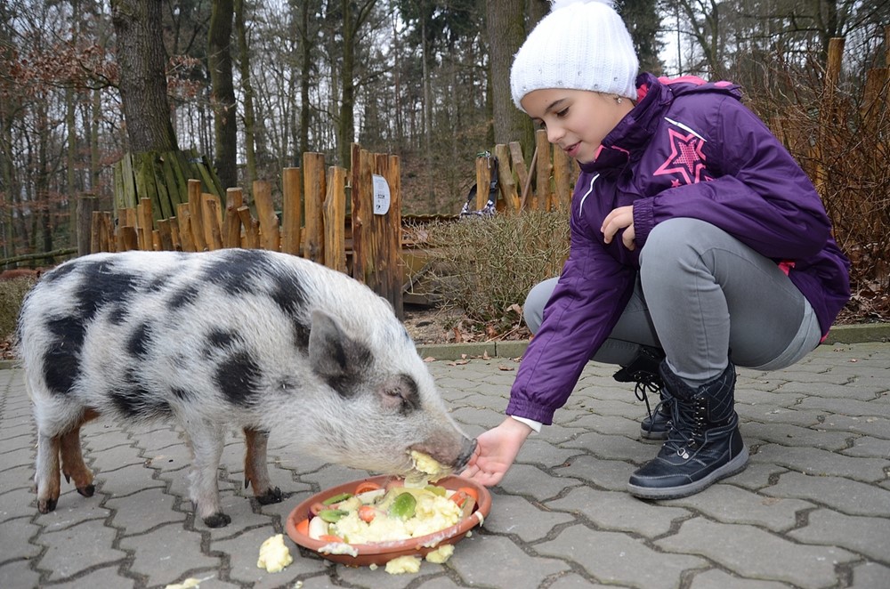 Zoo Děčín