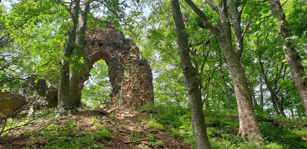 Zřícenina hradu Bradlec, která se nachází nedaleko obce Syřenov.