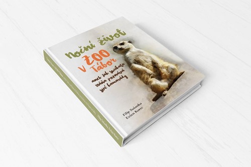 Vydejte se za zvířecími dobrodružstvími v nové dětské knize a objevte tajuplný noční život táborské zoo