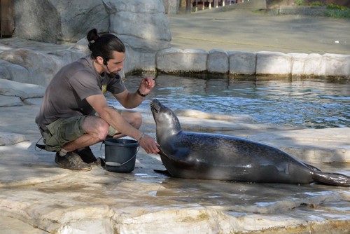 Raději pracuji se zvířaty než s lidmi, říká někdejší chovatel zoologické zahrady Lukáš Ševcovic