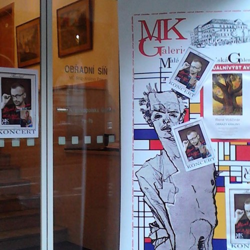 Malá královopolská galerie