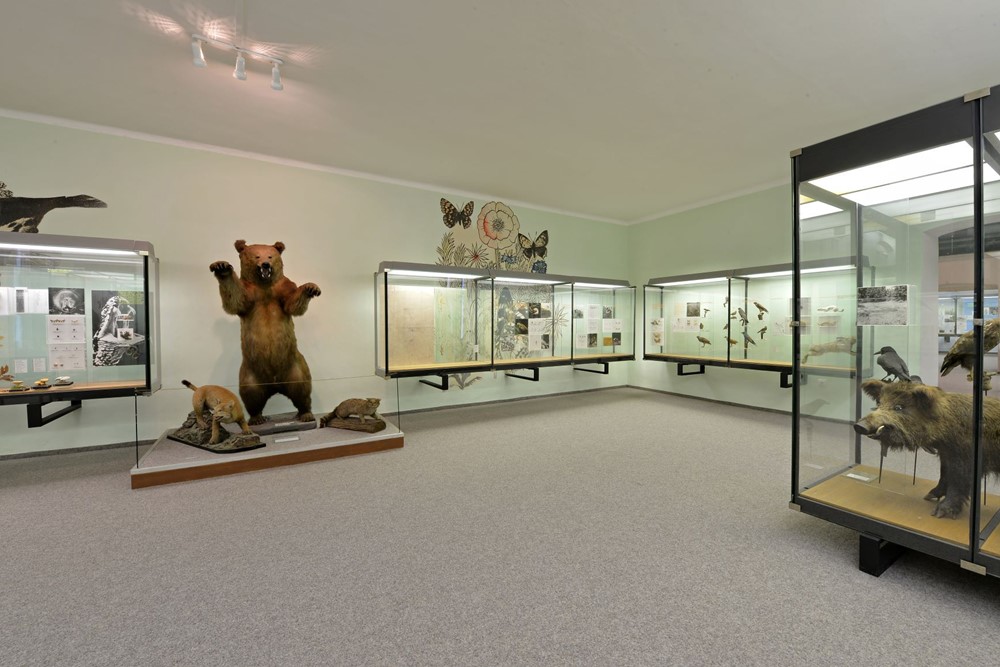 Blatské muzeum v Soběslavi – Rožmberský dům
