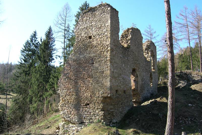 Zřícenina hradu Pořešín