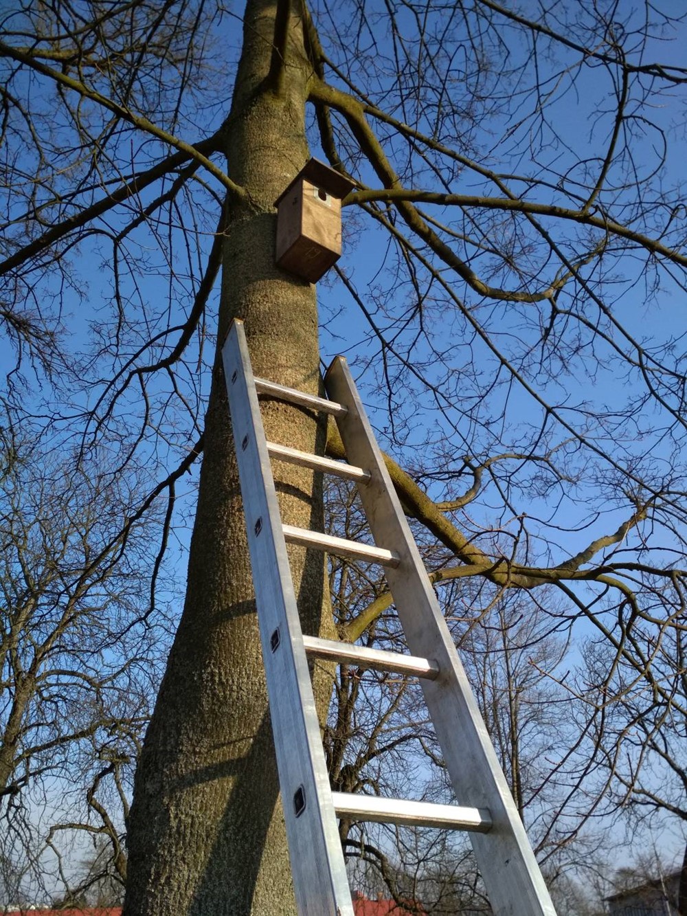 Jedna z 67 ptačích budek v Trutnově. 