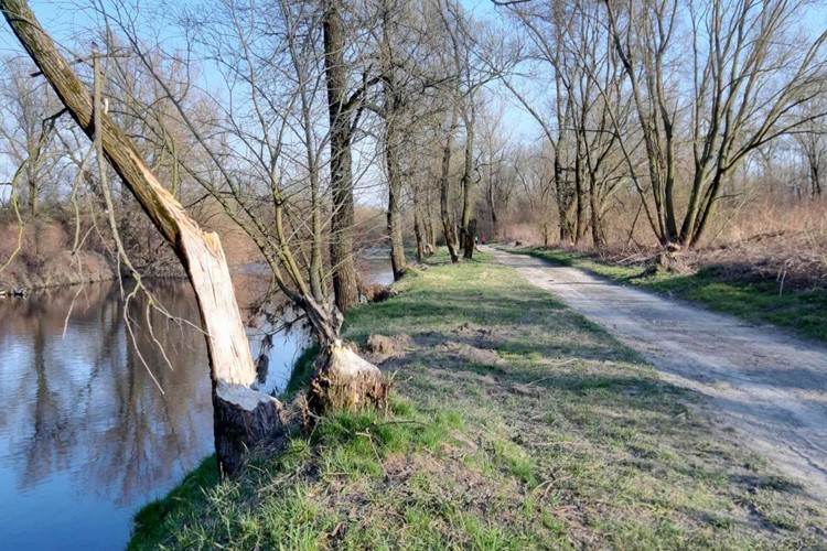 Bohumín myslí na cyklisty, láká na nové trasy, třeba bobří a industriální
