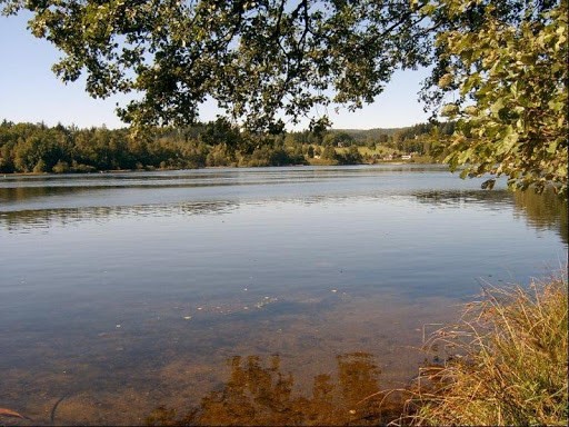 Děpoltovický rybník