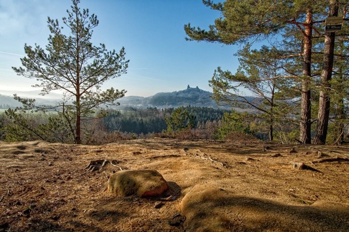 Borecké skály