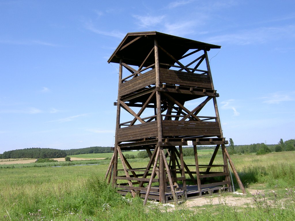 Rozhledna Nový rybník (Líně)