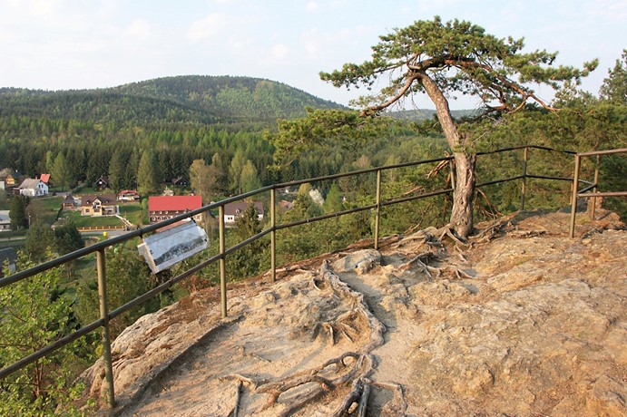 Polesí u Rynoltic