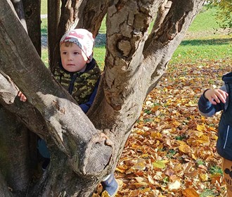 Procházka do Arboreta
